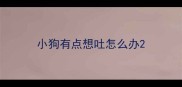 小狗有点想吐怎么办