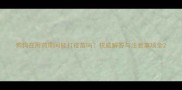 狗狗在用药期间能打疫苗吗权威解答与注意事项全