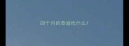 四个月的泰迪吃什么