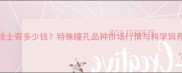 异瞳哈士奇多少钱特殊瞳孔品种市场行情与科学饲养指南