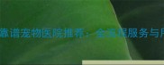 沈阳于洪专业靠谱宠物医院推荐全流程服务与用户真实评价