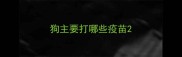 狗主要打哪些疫苗