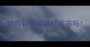 狗狗软便可以打疫苗吗