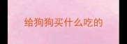 给狗狗买什么吃的