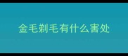 金毛剃毛有什么害处