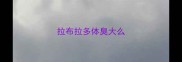拉布拉多体臭大么