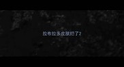 拉布拉多皮肤烂了