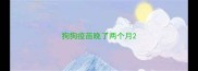 狗狗疫苗晚了两个月