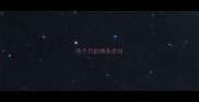 两个月的博美发抖