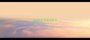 拉布拉多登录冠军犬