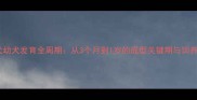 茶杯犬幼犬发育全周期从3个月到1岁的成型关键期与饲养指南