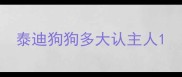泰迪狗狗多大认主人