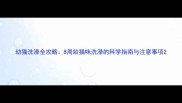 幼猫洗澡全攻略8周龄猫咪洗澡的科学指南与注意事项