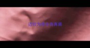 边牧为啥会有真菌