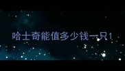 哈士奇能值多少钱一只
