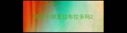 耳朵不掉是拉布拉多吗