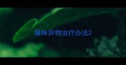猫咪异物治疗办法