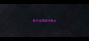 锦州宠物医院电话