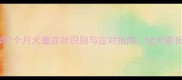 哈士奇7个月犬瘟症状识别与应对指南幼犬家长必看
