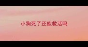 小狗死了还能救活吗