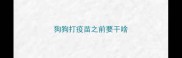 狗狗打疫苗之前要干啥
