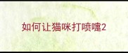 如何让猫咪打喷嚏