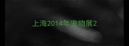 上海2014年宠物展