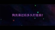 狗洗澡过后多久打疫苗