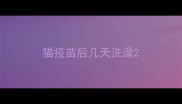 猫疫苗后几天洗澡