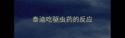 泰迪吃驱虫药的反应