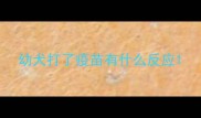 幼犬打了疫苗有什么反应
