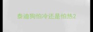 泰迪狗怕冷还是怕热