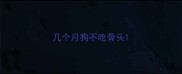 几个月狗不吃骨头
