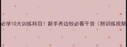 边牧必学10大训练科目新手养边牧必看干货附训练视频链接
