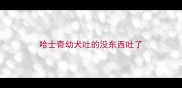 哈士奇幼犬吐的没东西吐了