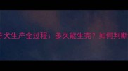 边境牧羊犬生产全过程多久能生完如何判断产兆