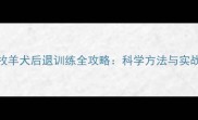 边境牧羊犬后退训练全攻略科学方法与实战技巧