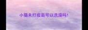 小猫未打疫苗可以洗澡吗