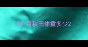 8个月秋田体重多少