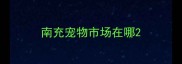 南充宠物市场在哪