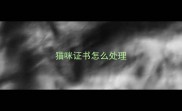 猫咪证书怎么处理
