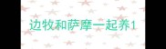 边牧和萨摩一起养
