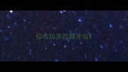 拉布拉多四颗牙齿