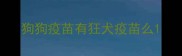 狗狗疫苗有狂犬疫苗么