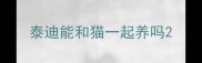 泰迪能和猫一起养吗