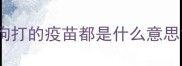 狗打的疫苗都是什么意思