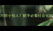 可卡五个月胆小怕人新手必看社会化训练全攻略