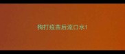 狗打疫苗后流口水
