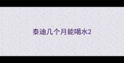 泰迪几个月能喝水