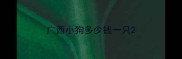 广西小狗多少钱一只